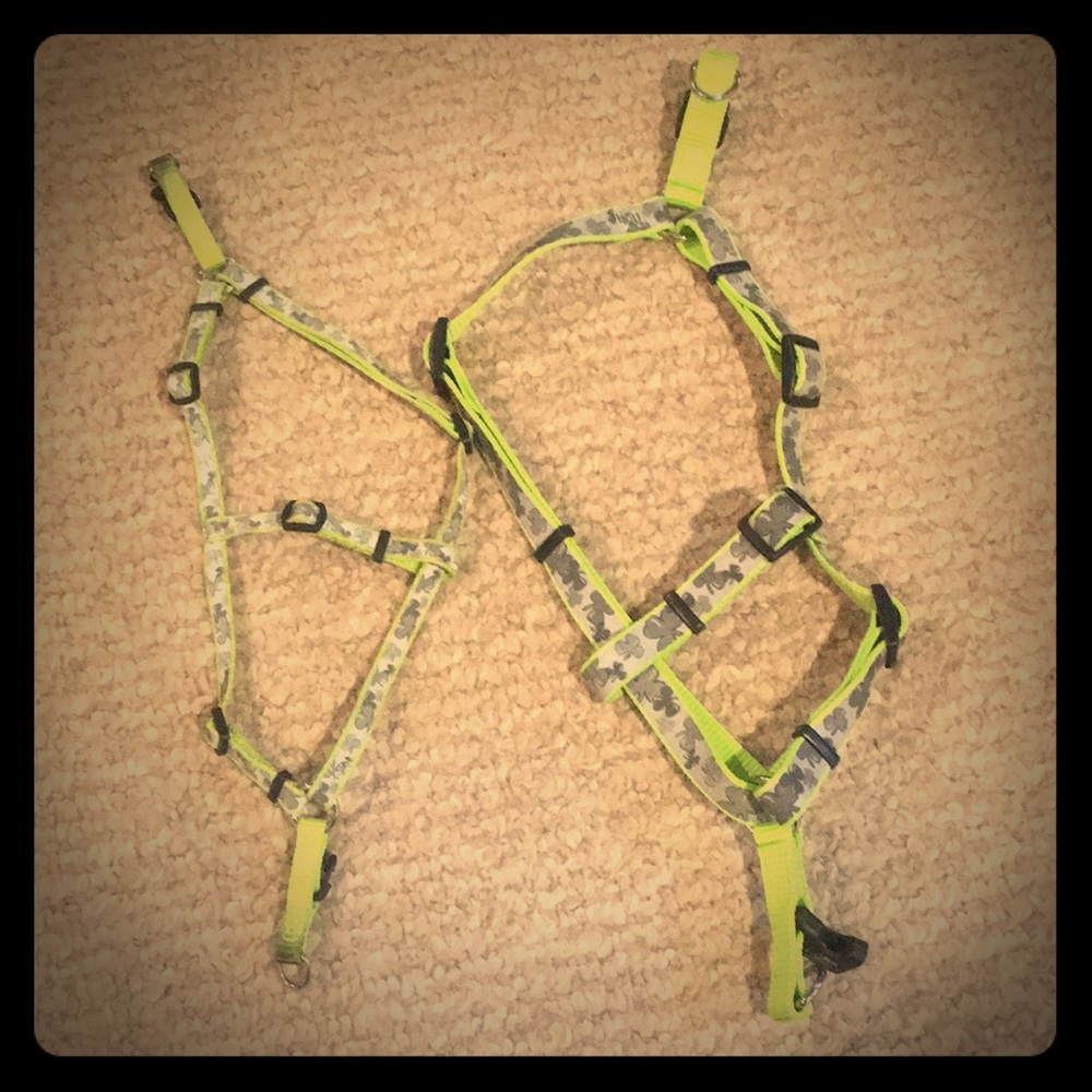 Two lime green/gray shamrock dog harnesses